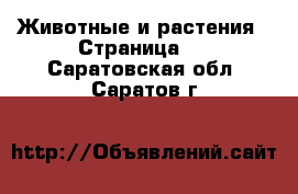  Животные и растения - Страница 2 . Саратовская обл.,Саратов г.